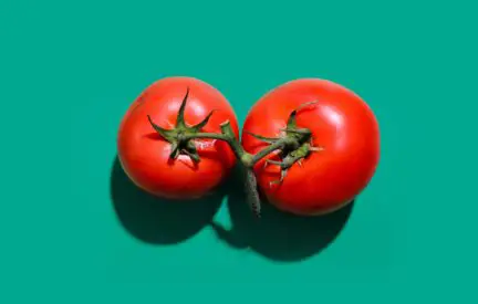 3 Best Tomato Timer: How To Schedule Your Time To Learn?